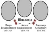 Макет таблички с тремя овальными областями
